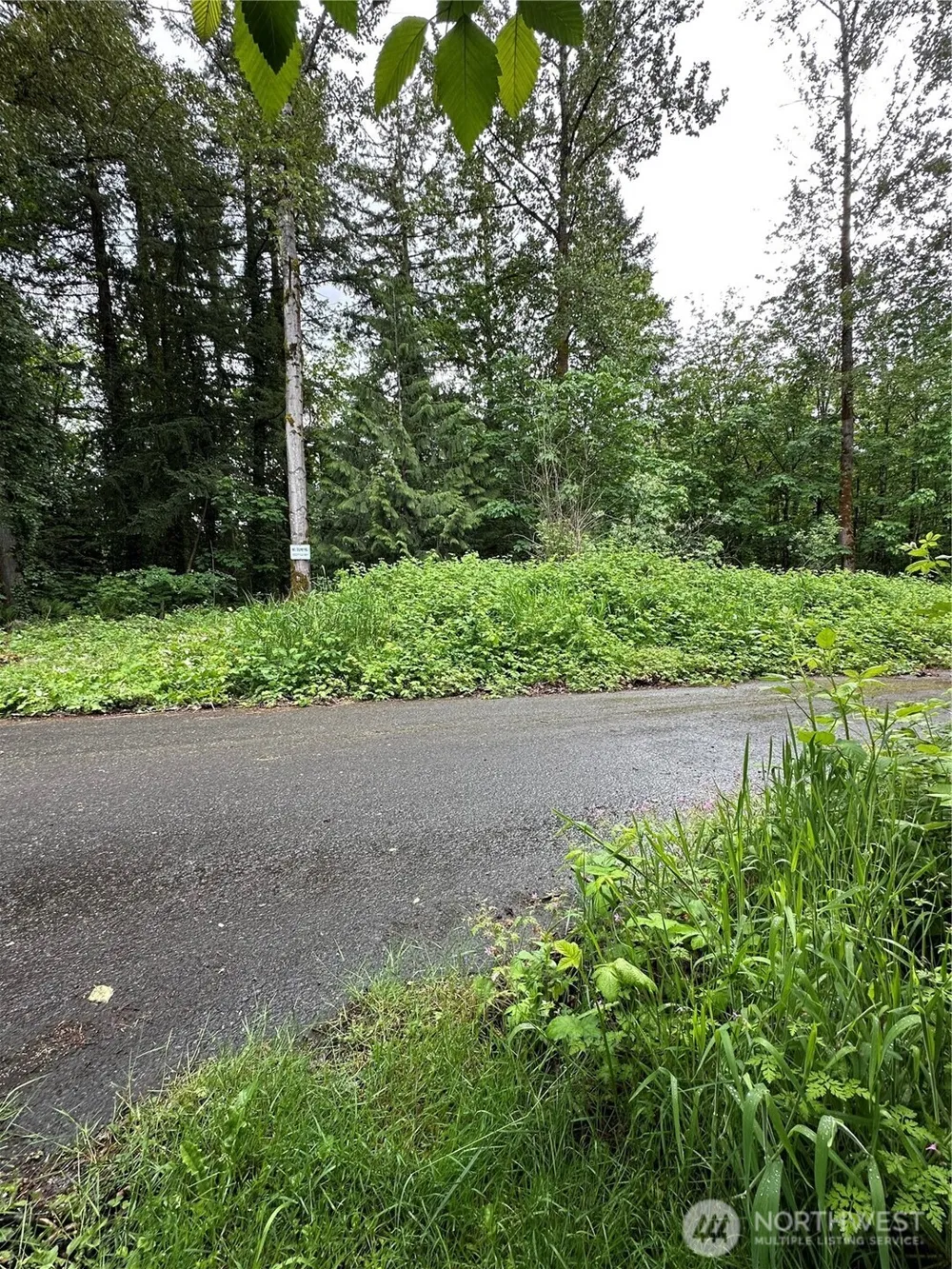 131 XX SE 312th Street Auburn, WA 98092