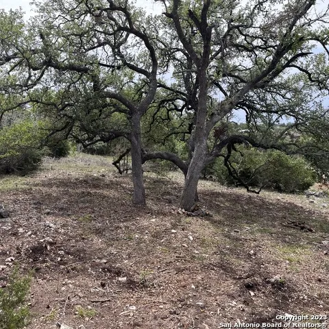 1430 Trailhead New Braunfels, TX 78132