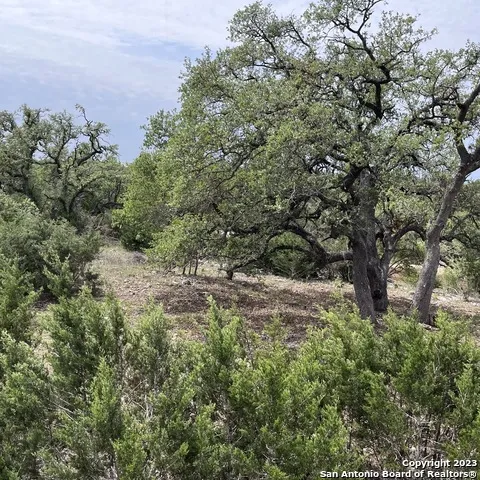 1430 Trailhead New Braunfels, TX 78132