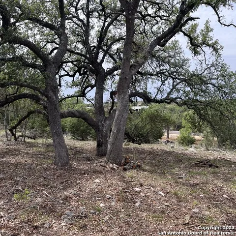 1430 Trailhead New Braunfels, TX 78132