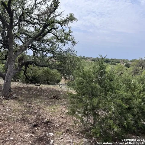 1430 Trailhead New Braunfels, TX 78132