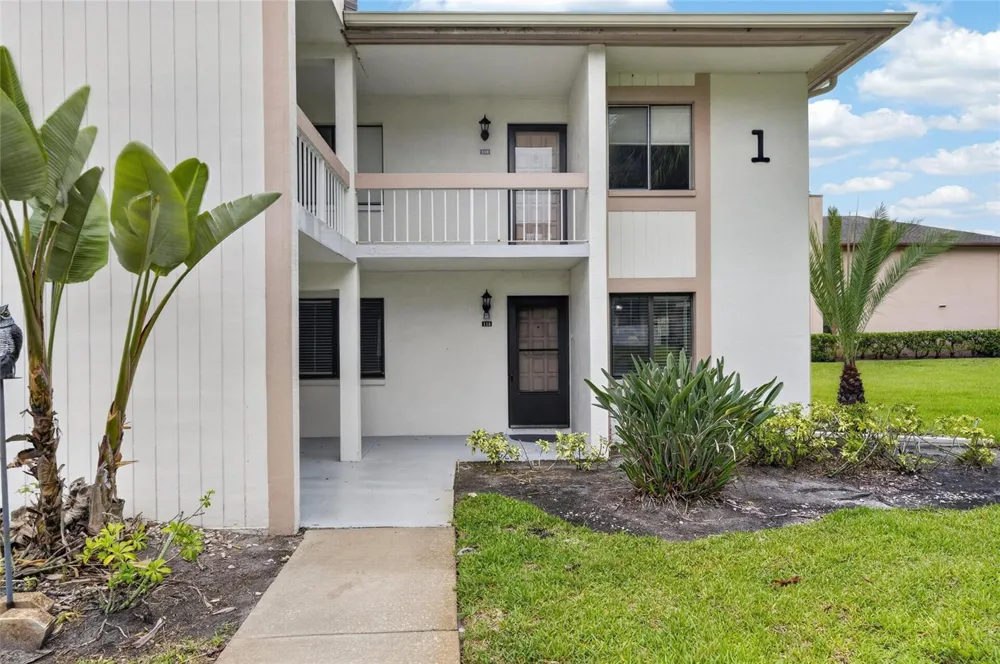 115 LAKEVIEW PLACE #115 Oldsmar, FL 34677