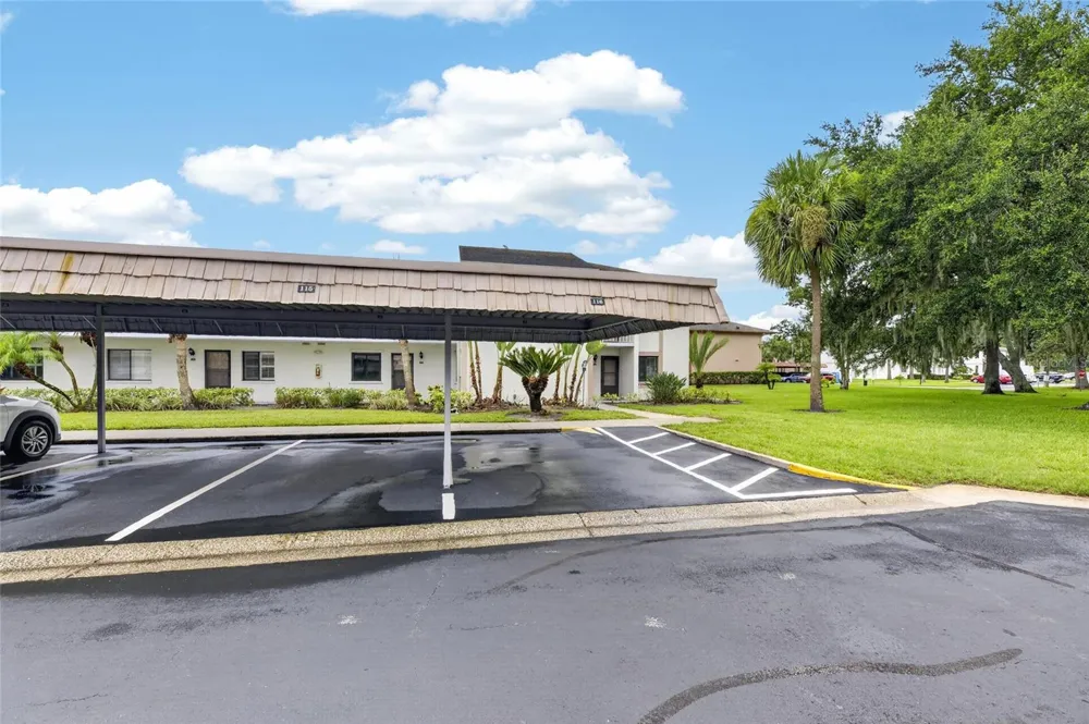 115 LAKEVIEW PLACE #115 Oldsmar, FL 34677