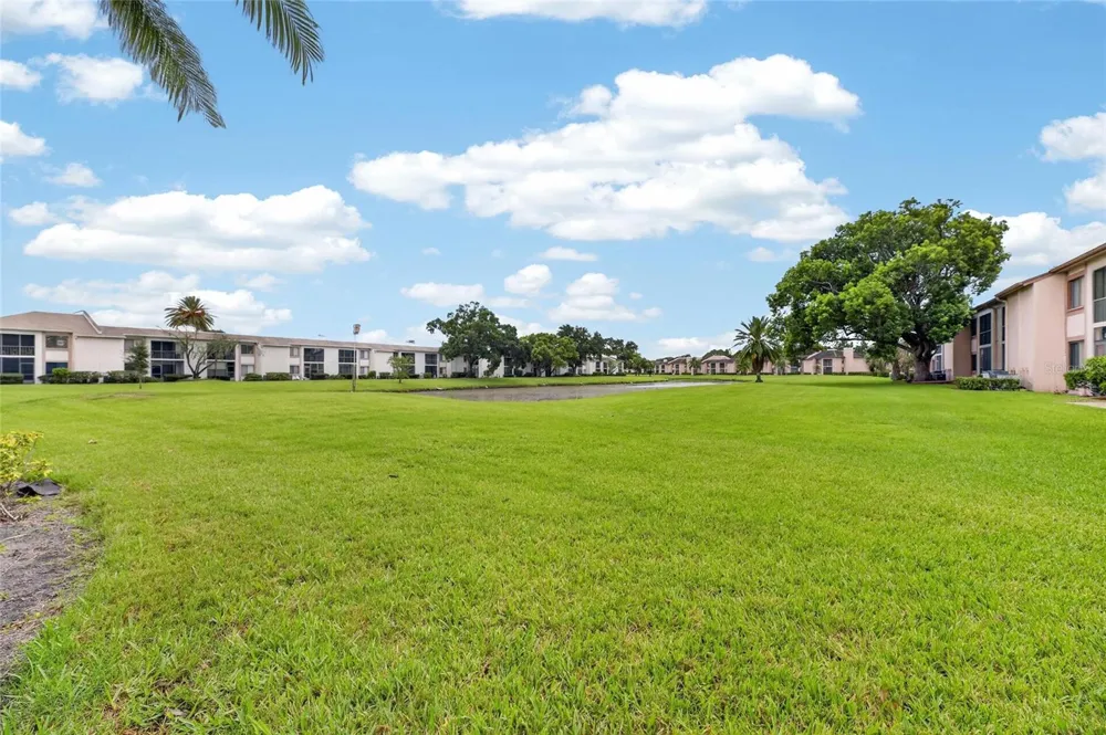 115 LAKEVIEW PLACE #115 Oldsmar, FL 34677