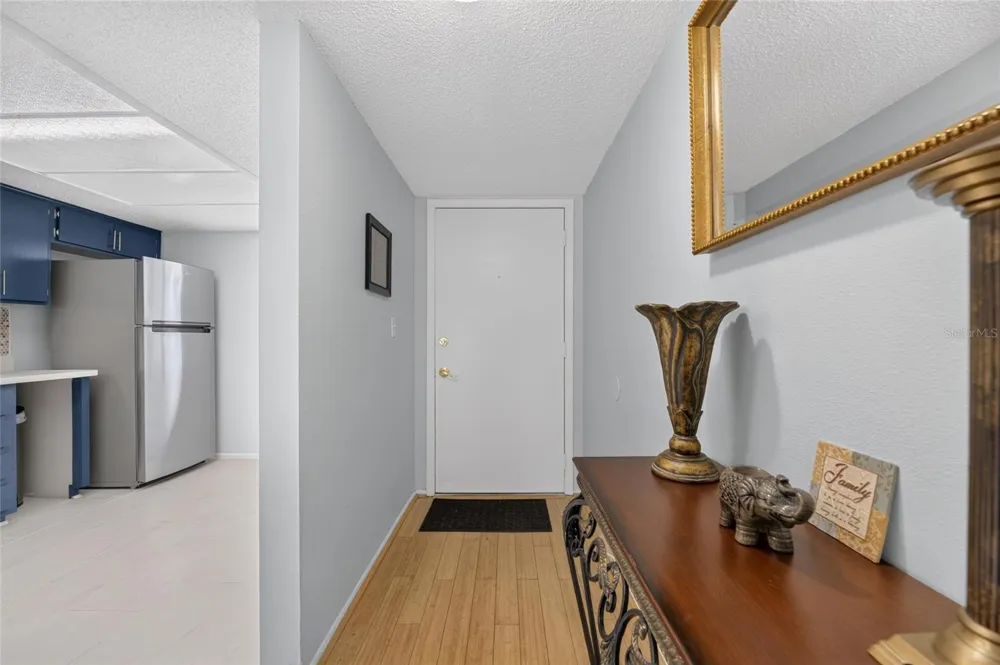 115 LAKEVIEW PLACE #115 Oldsmar, FL 34677
