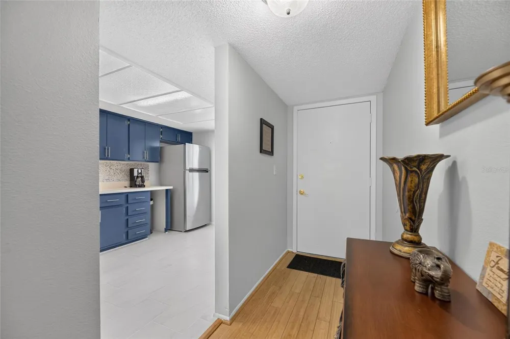 115 LAKEVIEW PLACE #115 Oldsmar, FL 34677
