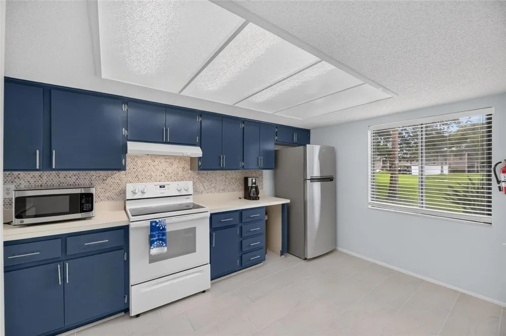 115 LAKEVIEW PLACE #115 Oldsmar, FL 34677