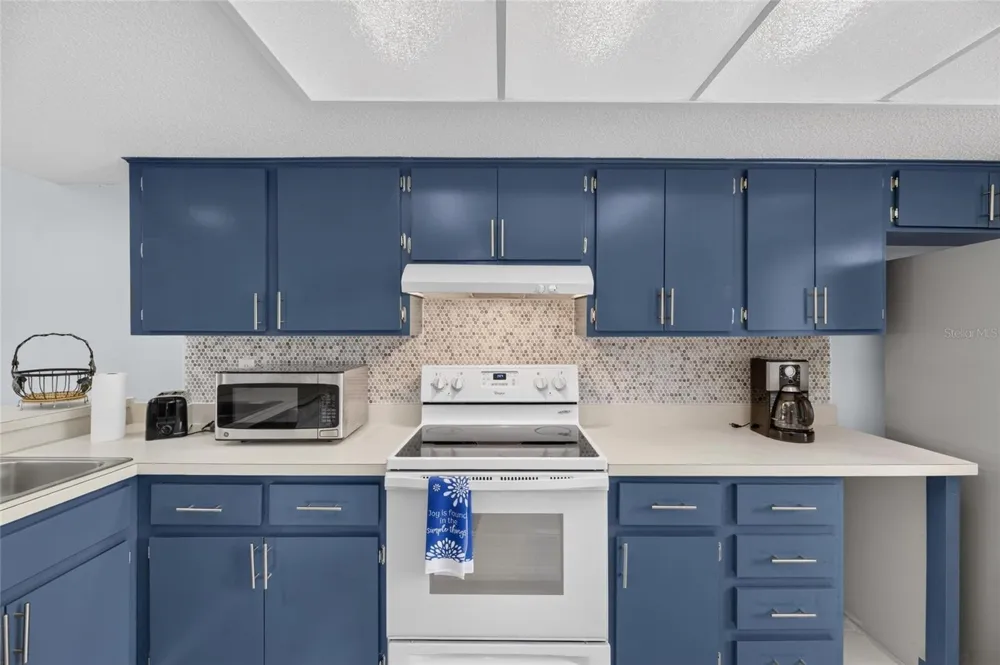 115 LAKEVIEW PLACE #115 Oldsmar, FL 34677