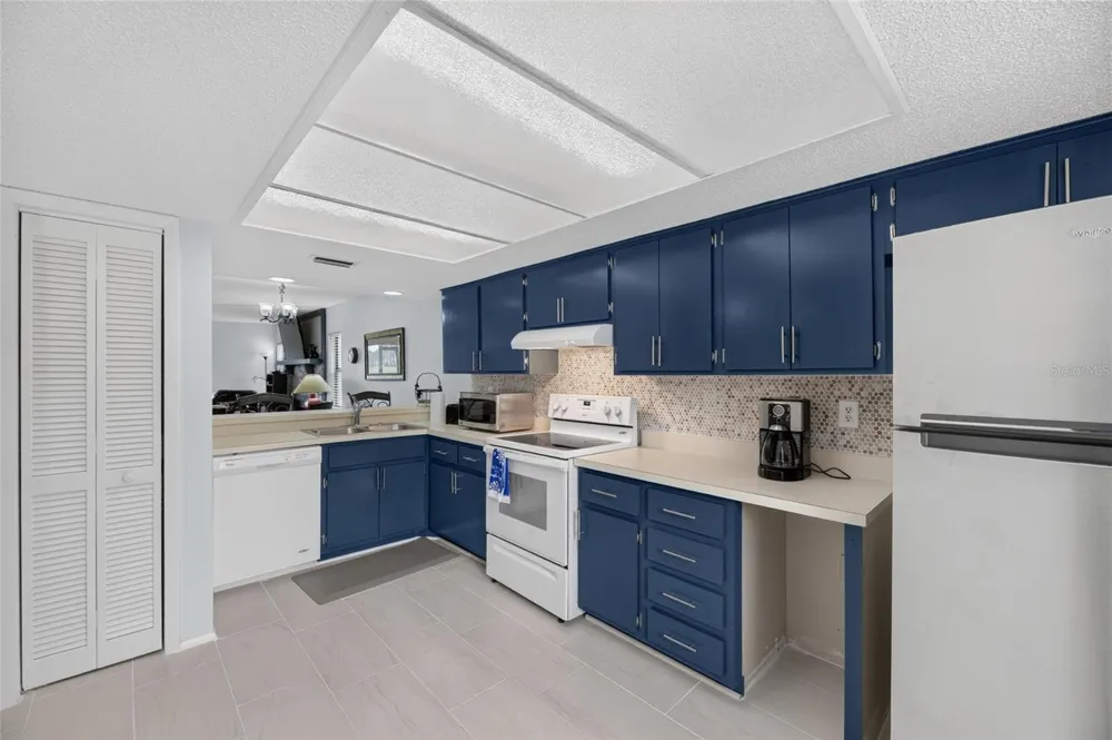 115 LAKEVIEW PLACE #115 Oldsmar, FL 34677