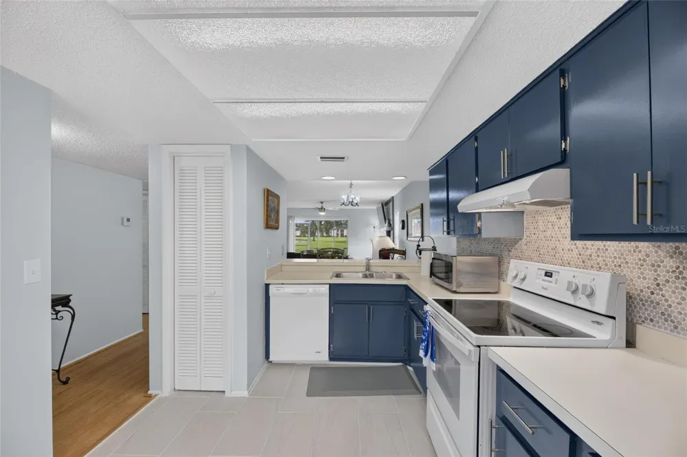 115 LAKEVIEW PLACE #115 Oldsmar, FL 34677