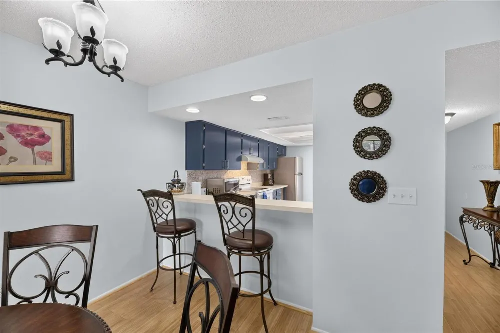 115 LAKEVIEW PLACE #115 Oldsmar, FL 34677