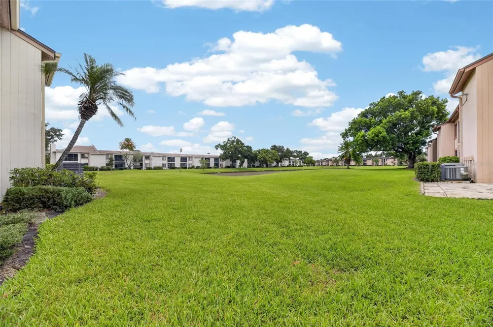 115 LAKEVIEW PLACE #115 Oldsmar, FL 34677