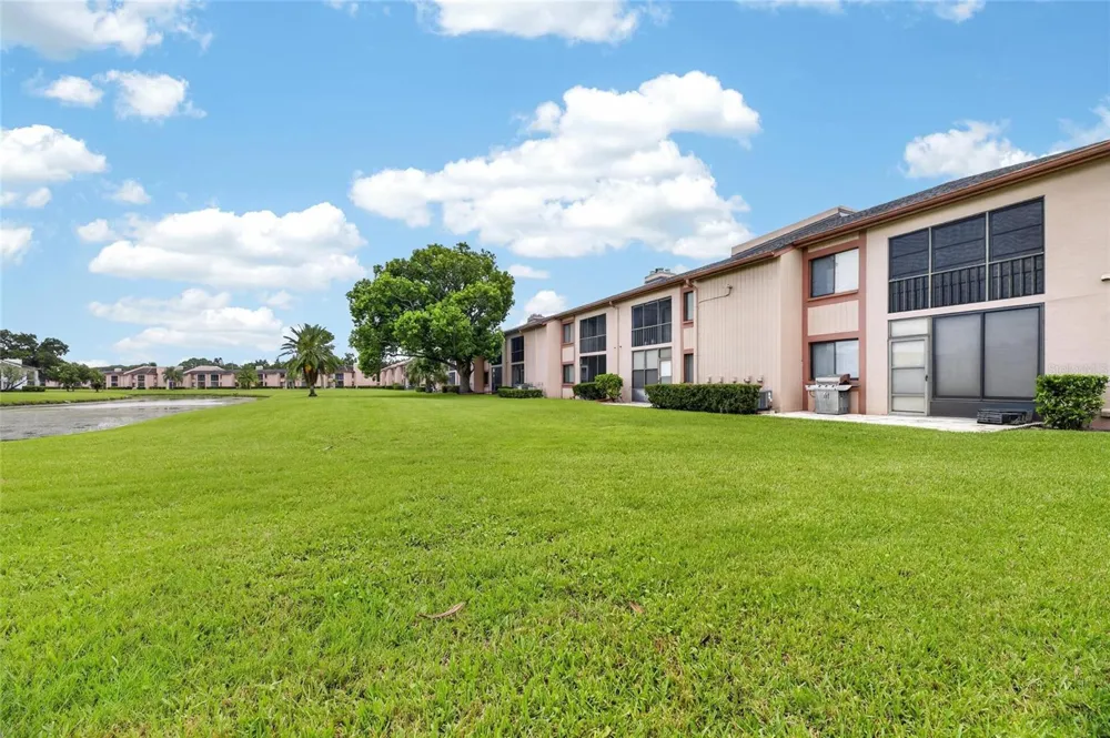 115 LAKEVIEW PLACE #115 Oldsmar, FL 34677