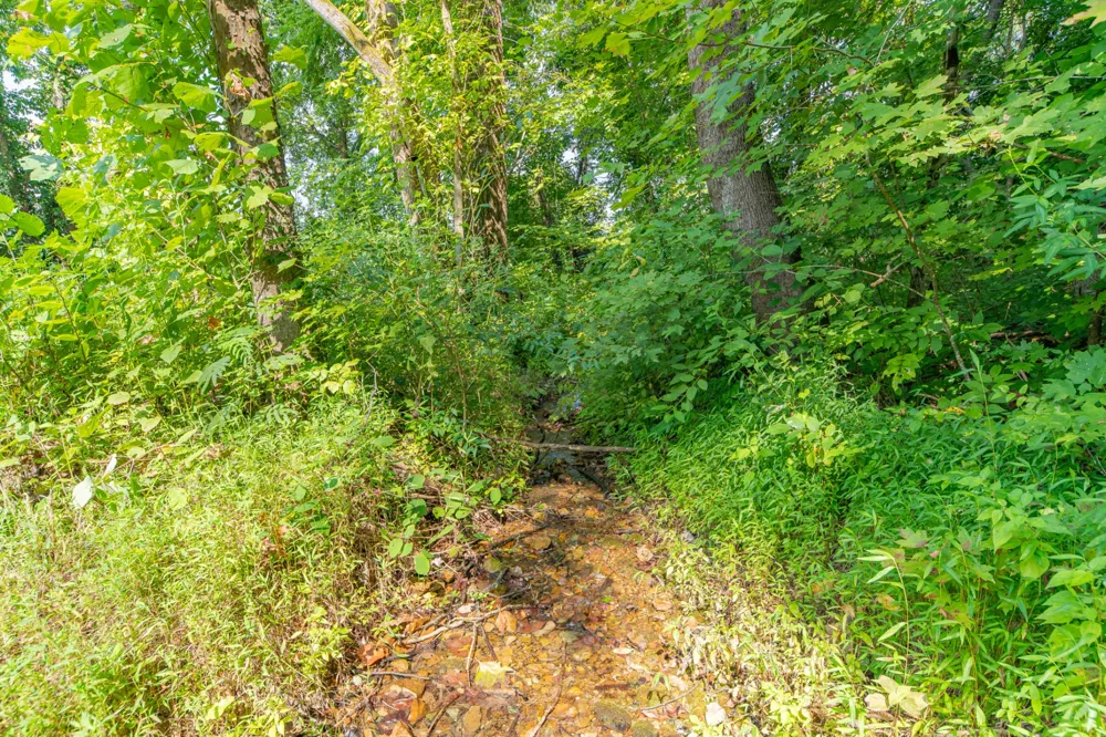 755 Briar Pond Rd Centerville, TN 37033