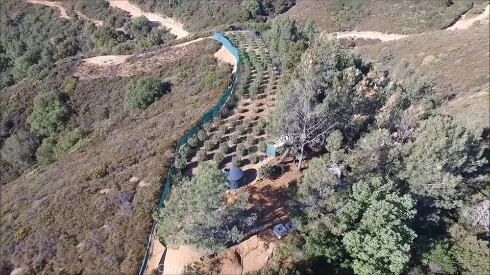 12940 Adobe Creek Hopland, CA 95449