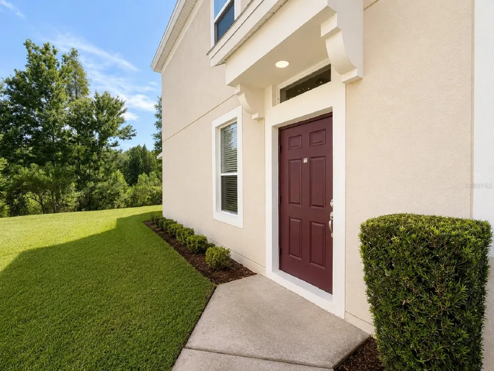 26613 CASTLEVIEW WAY Wesley Chapel, FL 33544
