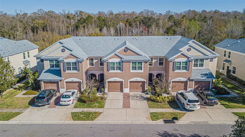 26544 CASTLEVIEW WAY Wesley Chapel, FL 33544