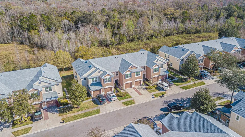 26544 CASTLEVIEW WAY Wesley Chapel, FL 33544