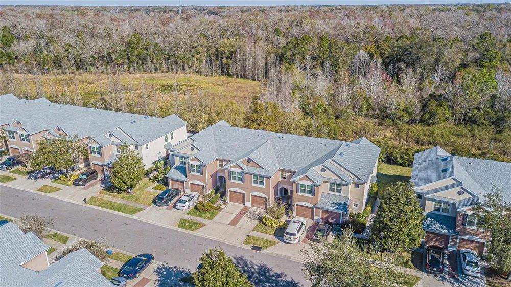 26544 CASTLEVIEW WAY Wesley Chapel, FL 33544