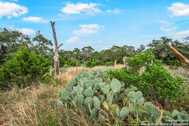 1494 County Road 270 Mico, TX 78056