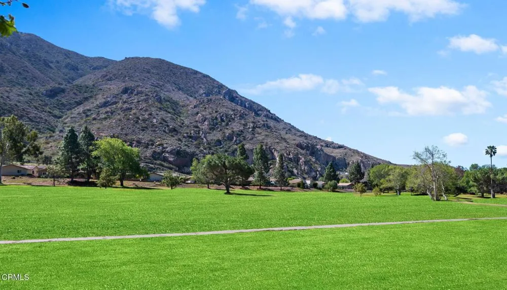 6030 Via Montanez Camarillo, CA 93012