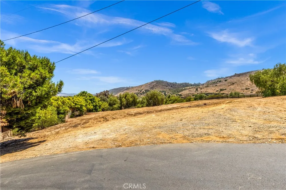 29600 Spotted Bull Lane San Juan Capistrano, CA 92675