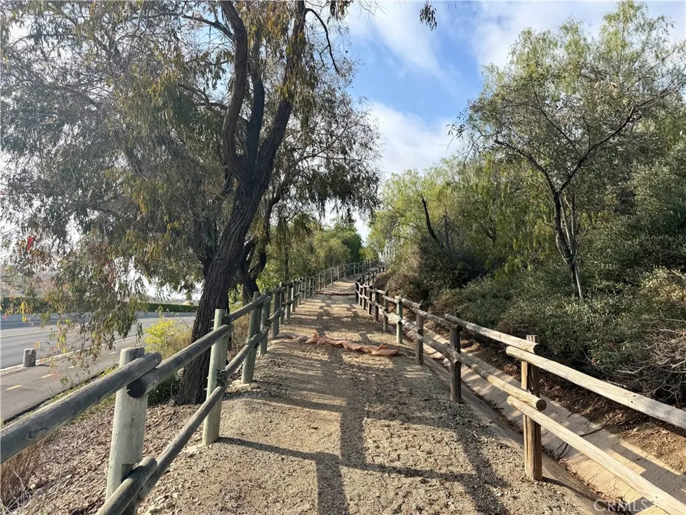 29600 Spotted Bull Lane San Juan Capistrano, CA 92675
