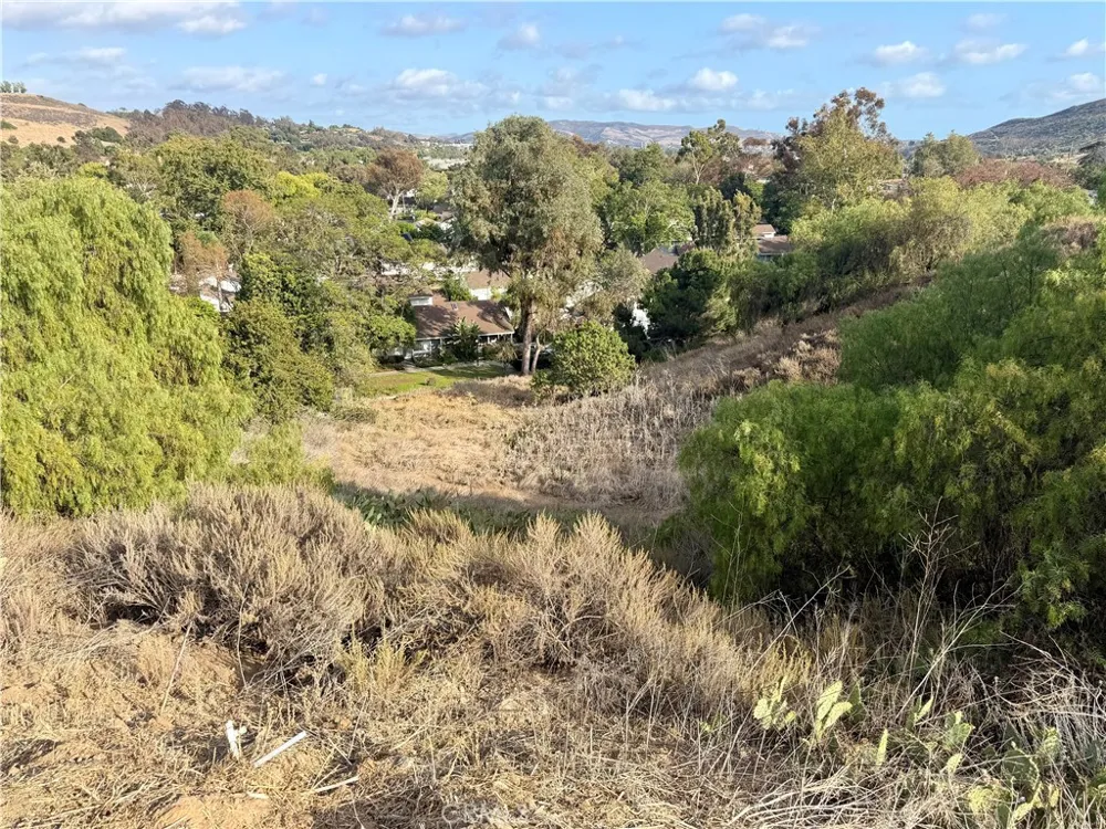 29600 Spotted Bull Lane San Juan Capistrano, CA 92675