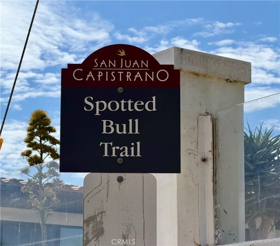 29600 Spotted Bull Lane San Juan Capistrano, CA 92675