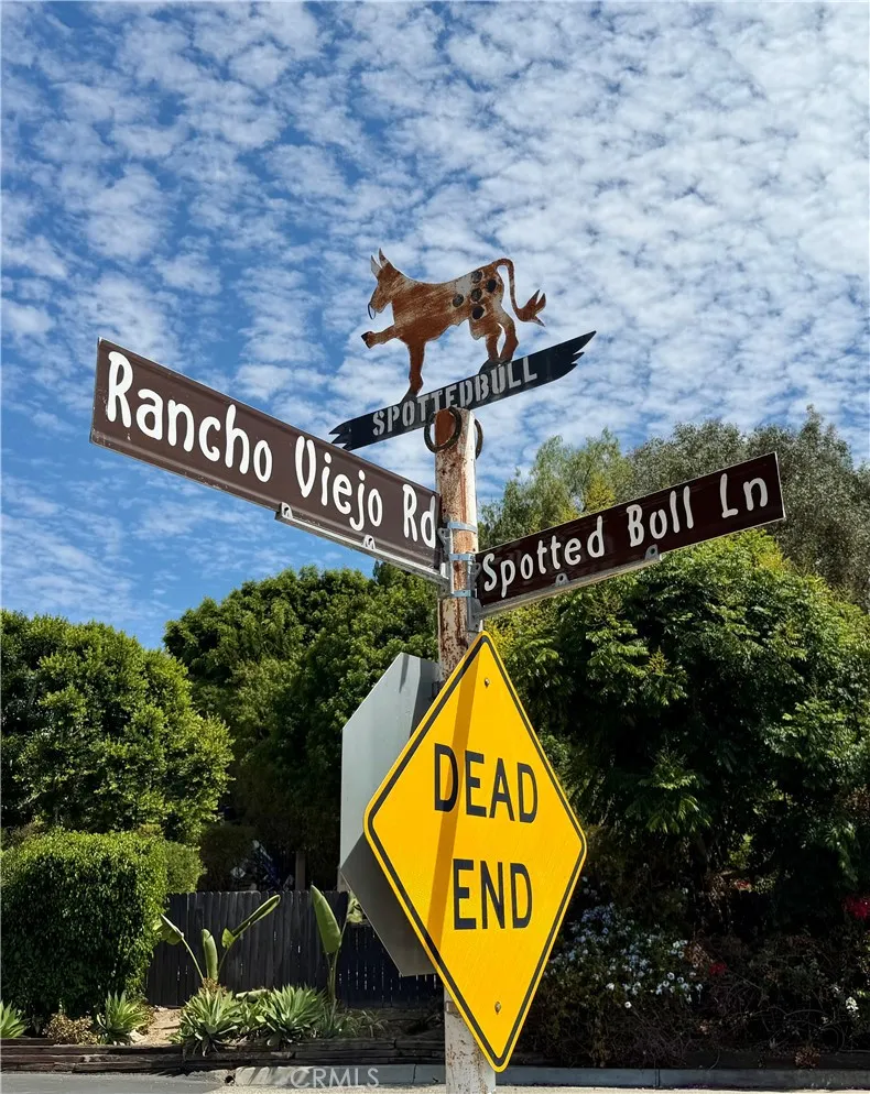 29600 Spotted Bull Lane San Juan Capistrano, CA 92675