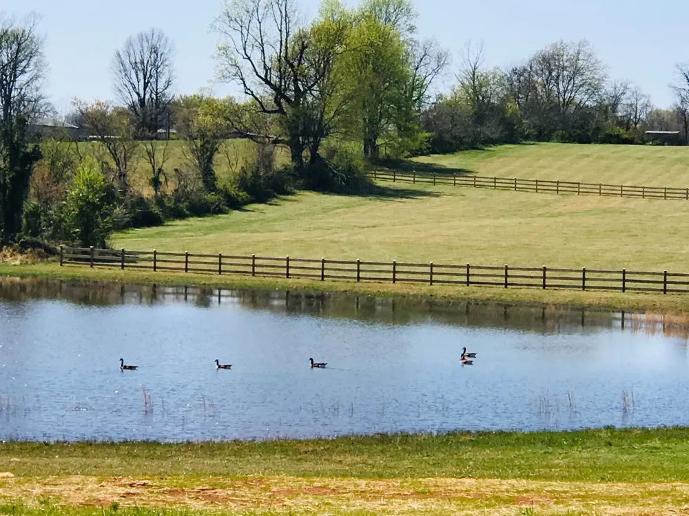 576 Womack Rd Bethpage, TN 37022