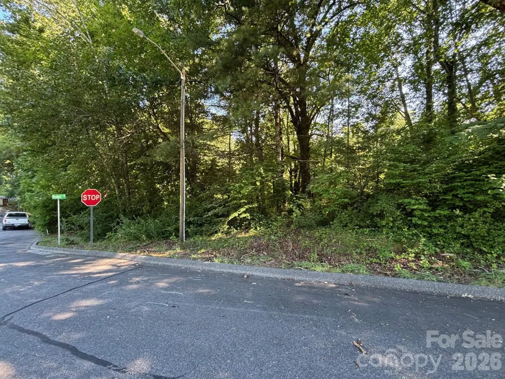 V/L Woodland Drive #11 Marion, NC 28752
