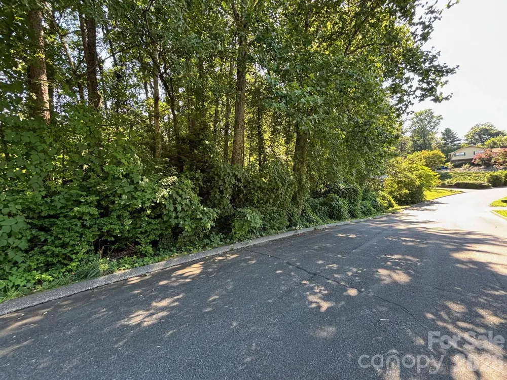 V/L Woodland Drive #11 Marion, NC 28752