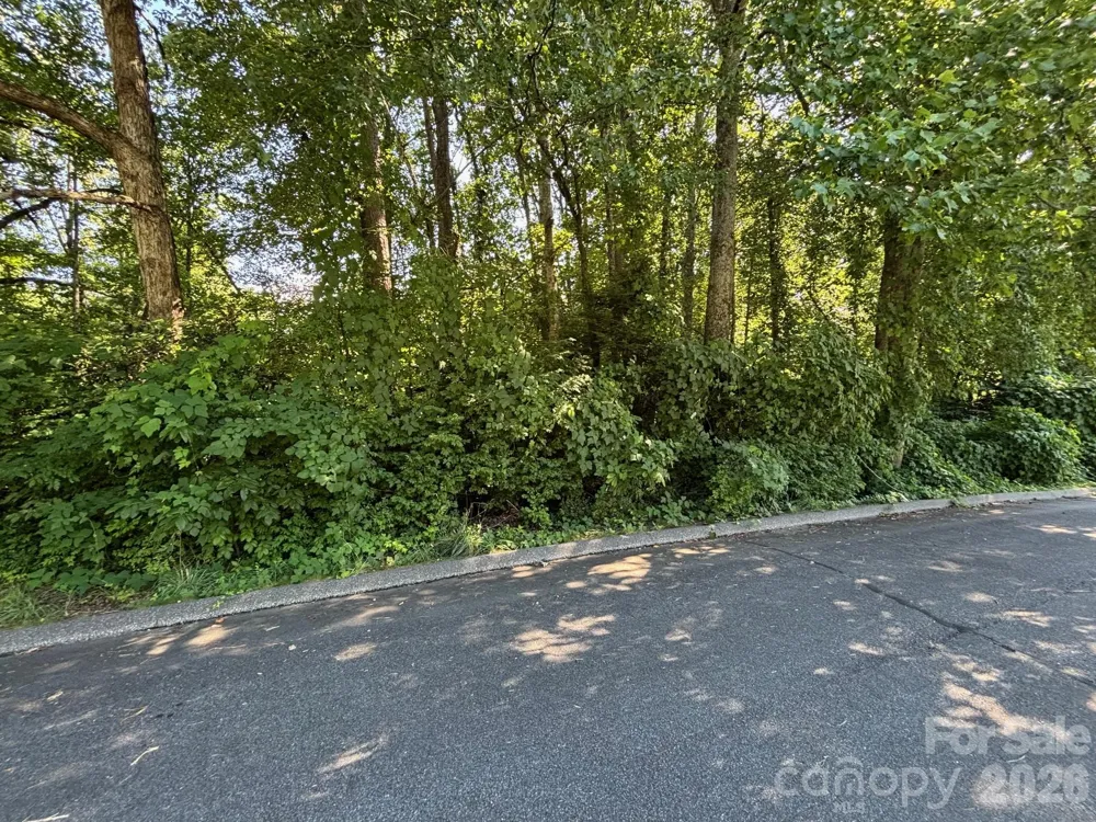 V/L Woodland Drive #11 Marion, NC 28752