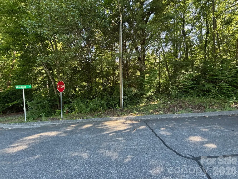 V/L Woodland Drive #11 Marion, NC 28752
