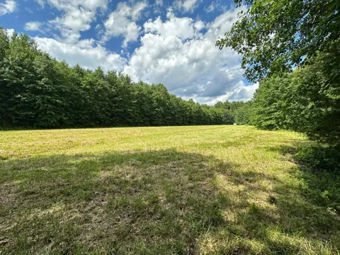 Woodhaven Lane