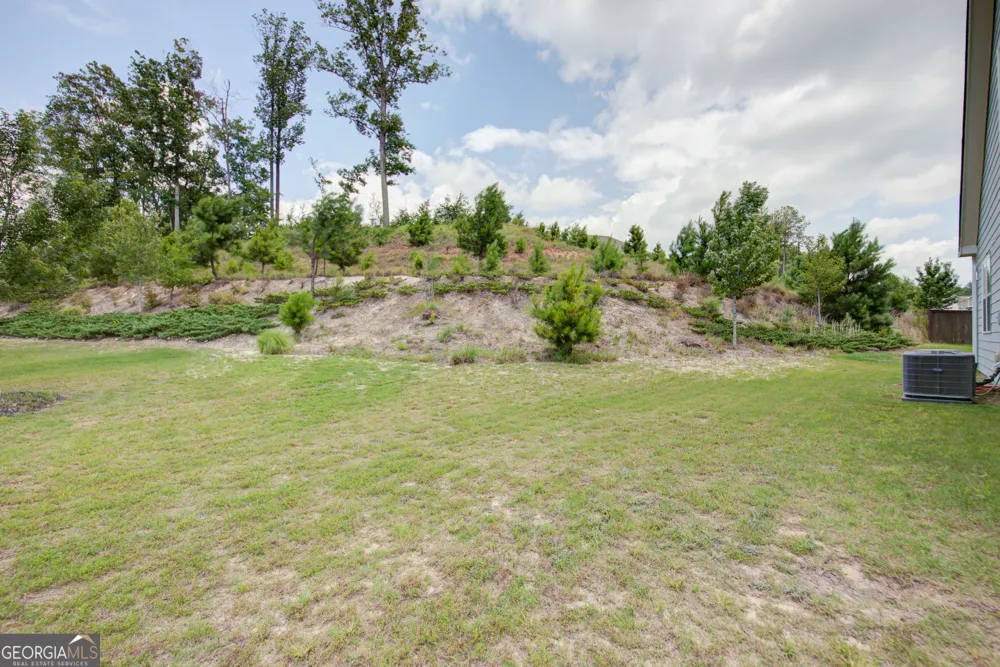 222 Yaupon TRL Braselton, GA 30517