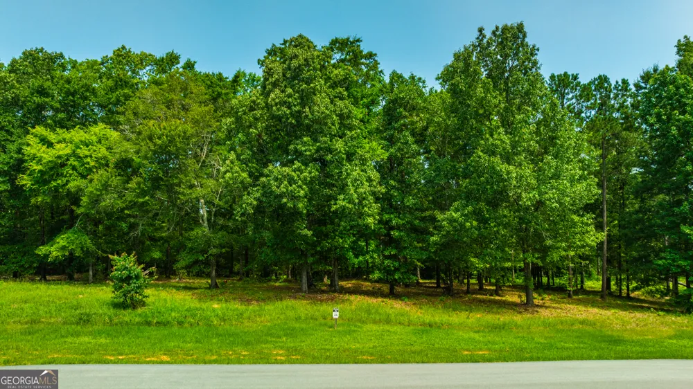 115 Harmony Bay DR Eatonton, GA 31024
