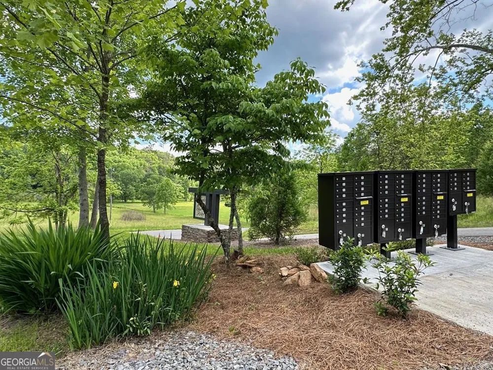 LT 12 Mountain Laurel RDG Mineral Bluff, GA 30559