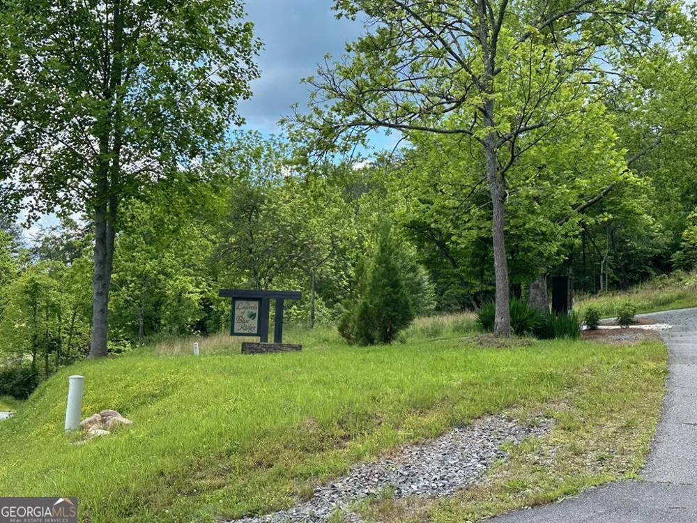 LT 12 Mountain Laurel RDG Mineral Bluff, GA 30559
