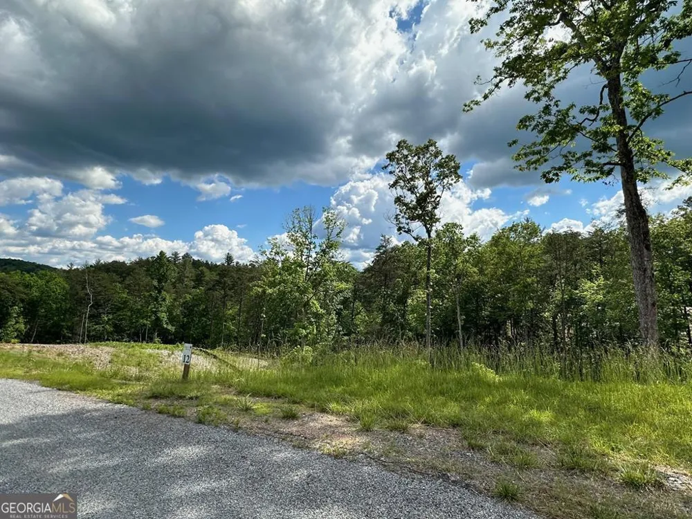 LT 12 Mountain Laurel RDG Mineral Bluff, GA 30559