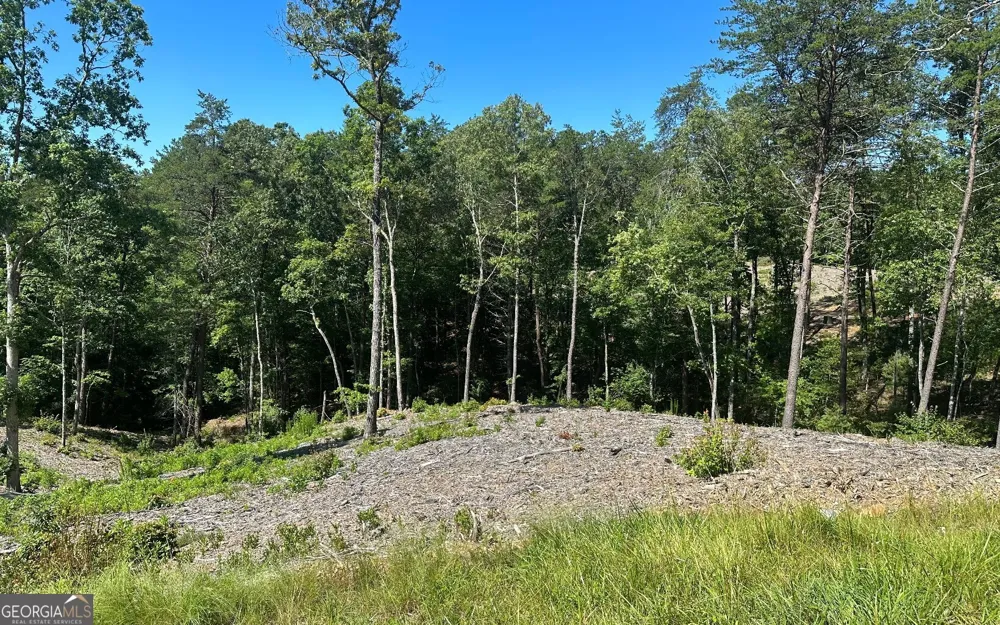 LT 12 Mountain Laurel RDG Mineral Bluff, GA 30559