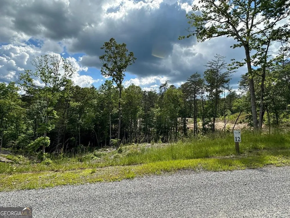 LT 12 Mountain Laurel RDG Mineral Bluff, GA 30559