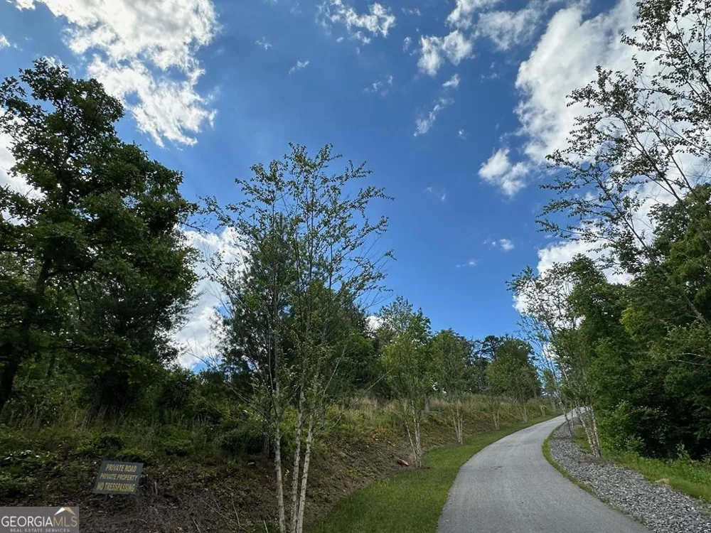 LT 12 Mountain Laurel RDG Mineral Bluff, GA 30559