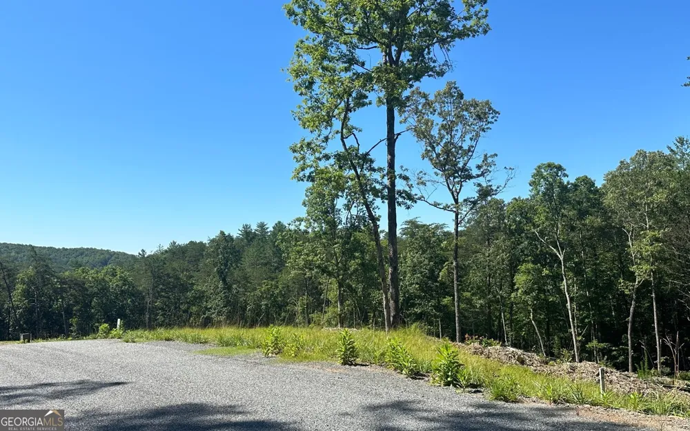 LT 12 Mountain Laurel RDG Mineral Bluff, GA 30559
