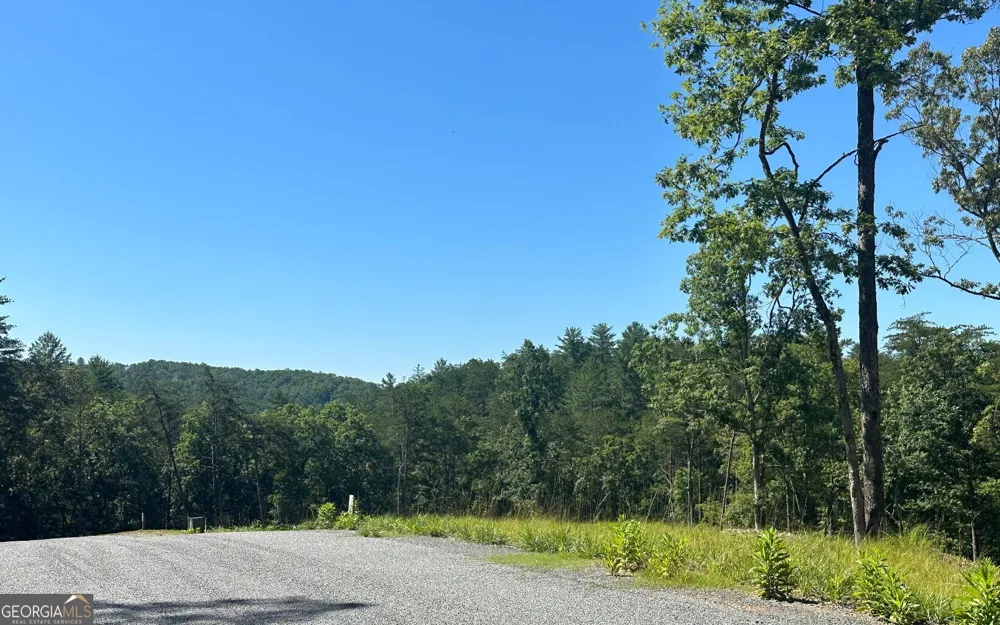 LT 12 Mountain Laurel RDG Mineral Bluff, GA 30559