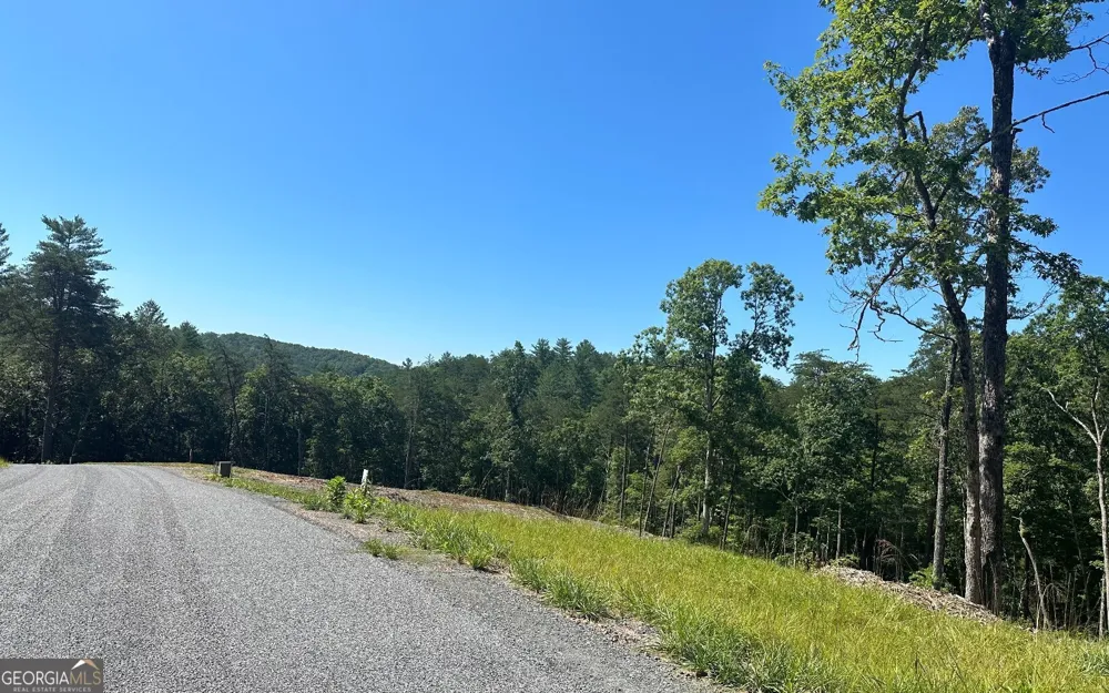 LT 12 Mountain Laurel RDG Mineral Bluff, GA 30559