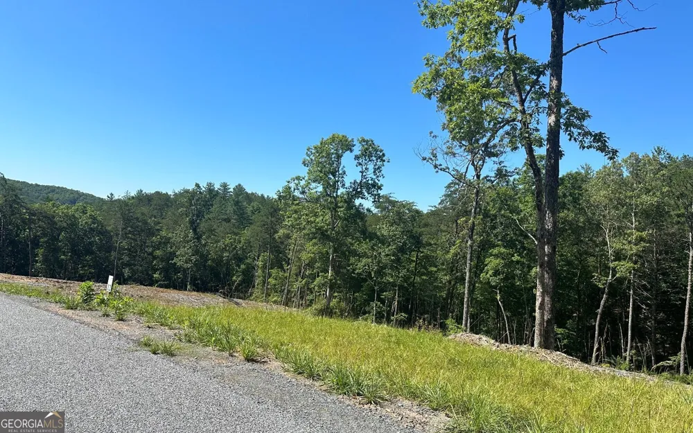 LT 12 Mountain Laurel RDG Mineral Bluff, GA 30559