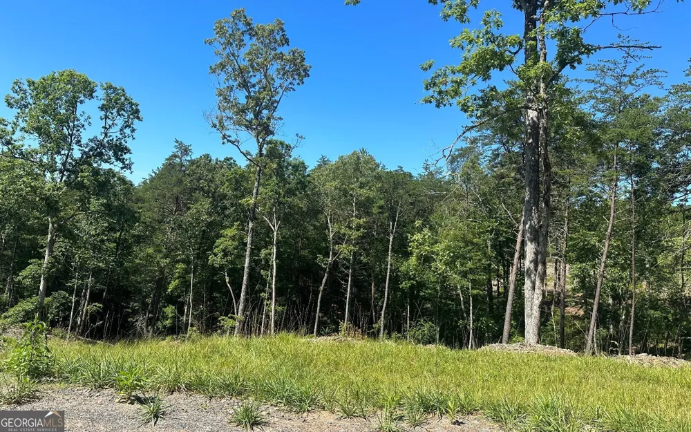 LT 12 Mountain Laurel RDG Mineral Bluff, GA 30559