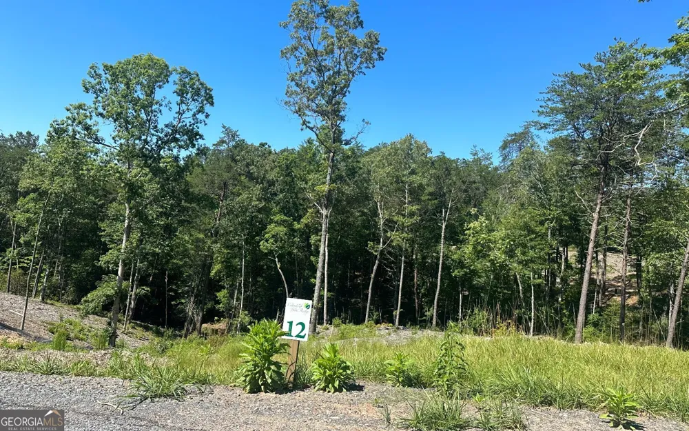 LT 12 Mountain Laurel RDG Mineral Bluff, GA 30559